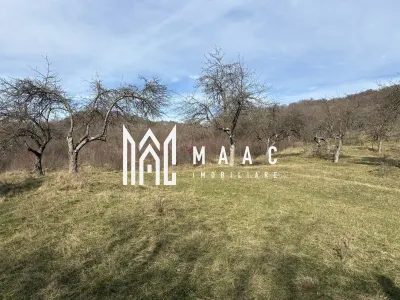 Teren  extravilan I 5300 mpI  Salatrucel -Calimanesti - Calimanesti
