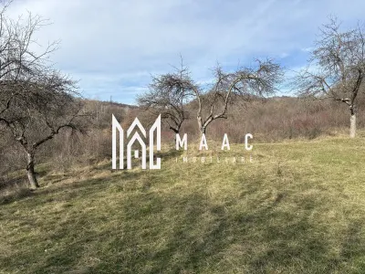 Teren  extravilan I 5300 mpI  Salatrucel -Calimanesti - foto 5