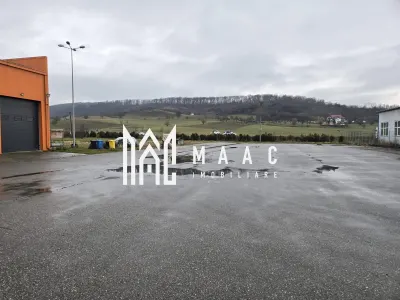 Hală cu Birouri și Teren 12.000 mp I De Vânzare I Bradu I Sibiu - Bradu