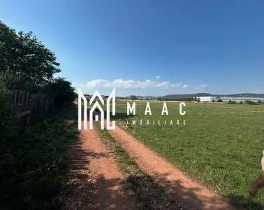 Teren 23.300 mp | 200 ml | Ideal dezvoltare rezidențială sau industrială - foto 3
