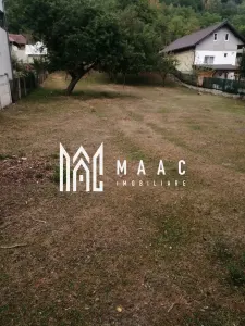 Teren Intravilan 10.000 mp | Livadă + Pădure de salcâm | Bărbătești - foto 3