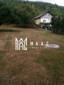 Teren Intravilan 10.000 mp | Livadă + Pădure de salcâm | Bărbătești - foto 4