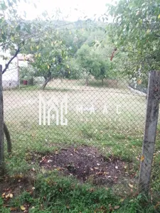 Teren Intravilan 10.000 mp | Livadă + Pădure de salcâm | Bărbătești - foto 6