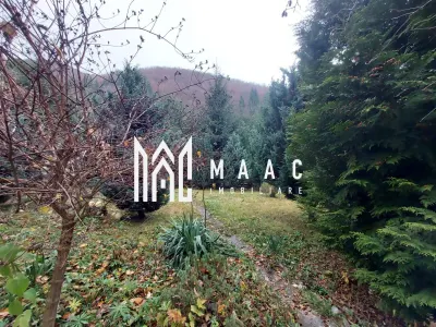 Casă | 260 mp utili | 1.100 mp teren | Râul Sadului | - foto 24