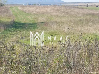 Teren Intravilan | 3.900 Mp Talmaciu | - Talmaciu