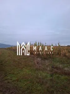 Teren Intravilan | 3900 MP | Tălmaciu - foto 3