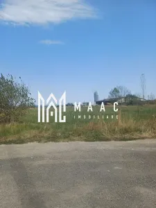 Teren | 10,000 MP | Extravilan | Posibilitate de parcelare | Cristian - foto 2
