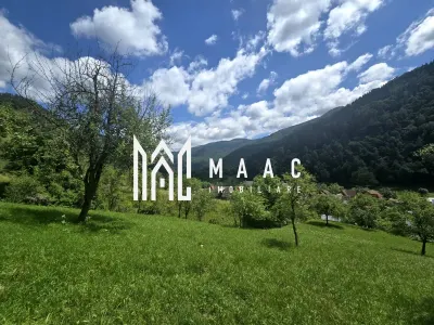 Teren | 2946MP | Priveliște Panoramică | Râu Sadului - foto 5