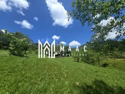 Teren | 2946MP | Priveliște Panoramică | Râu Sadului - foto 6