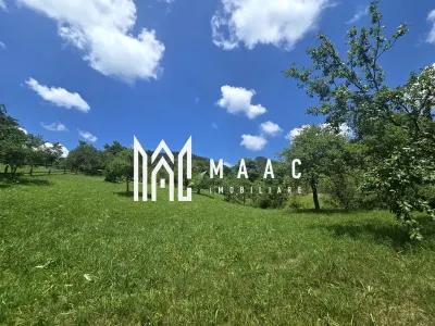 Teren | 2946MP | Priveliște Panoramică | Râu Sadului - foto 9