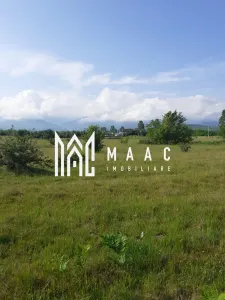 Teren  | Intravilan |5.000 MP | Valea Avrigului - foto 2