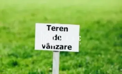 Teren 7000 mp I Intravilan I Cristian - foto 3