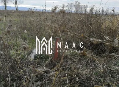 Teren intravilan I Zona Calea Surii Mici- Magnolia - foto 3