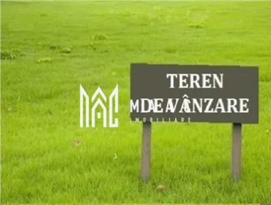 Teren extravilan | 12.300 mp | Zona Dedeman - foto 2