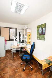 Spatiu Comercial | 78MP | 4 camere - foto 5