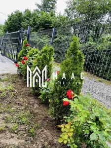 Teren de vânzare I Intravilan I Valea Avrigului - foto 3