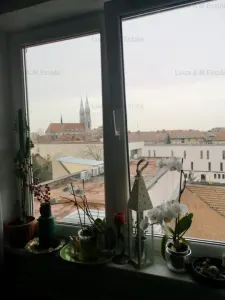 Apartament  1 camera  Universitate Politehnica/ Balcescu - foto 11