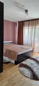 Apartament 1 Cameră Decomandat, Recent Renovat – Păcurari, Zona OMV–Kaufland - foto 2