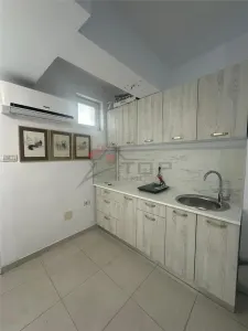 Inchiriere Garsoniera Nicolina - foto 7