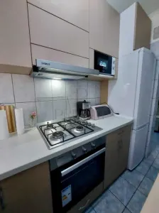 Dacia, 2 Camere, Centrala Proprie, Clima, renovat - Timisoara