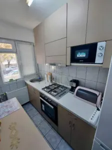Dacia, 2 Camere, Centrala Proprie, Clima, renovat - foto 2