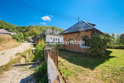 Casa cu teren de 1.200 mp si livada–Badesti, comuna Pietrosani, Arges - Badesti (Pietrosani)