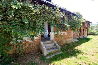 Casa cu teren de 1.200 mp si livada–Badesti, comuna Pietrosani, Arges - foto 2