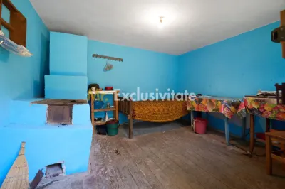 Casa cu teren de 1.200 mp si livada–Badesti, comuna Pietrosani, Arges - foto 11