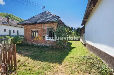 Casa cu teren de 1.200 mp si livada–Badesti, comuna Pietrosani, Arges - foto 3