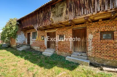 Casa cu teren de 1.200 mp si livada–Badesti, comuna Pietrosani, Arges - foto 5