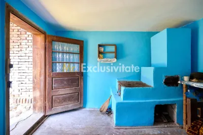 Casa cu teren de 1.200 mp si livada–Badesti, comuna Pietrosani, Arges - foto 10