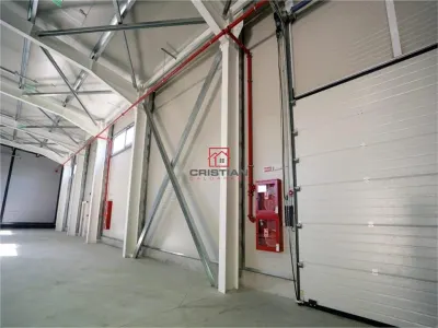 Inchiriere depozit/hala/spatiu industrial/showroom Afumati - Doraly - DN2, ILFOV - foto 17