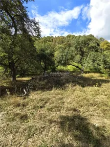 Teren la padure de vanzare Talmaciu Podu Olt - foto 11