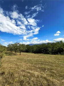 Teren la padure de vanzare Talmaciu Podu Olt - foto 3