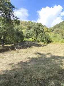 Teren la padure de vanzare Talmaciu Podu Olt - foto 8