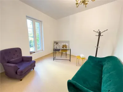 Stefan cel mare| Bucur Obor | Spatiu in vila reprezentativa - foto 14