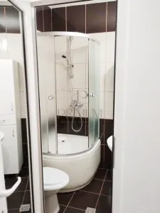 LIPOVEI - 1 CAM - RENOVATA - BALCON - ZONA LINISTITA - foto 5