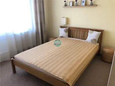 Apartament cu 3 camere de inchiriat, mobilat si utilat, in Tudor - foto 3