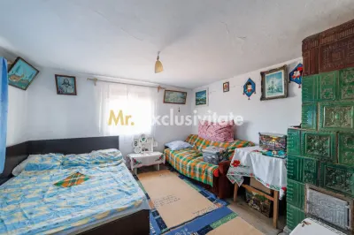 CASA SI GOSPODARIE DE VANZARE – SPINENI, OLT | 4.000 MP TEREN - foto 11
