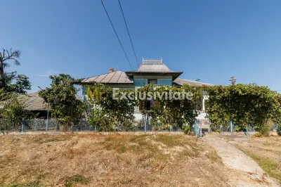 CASA SI GOSPODARIE DE VANZARE – SPINENI, OLT | 4.000 MP TEREN - foto 12