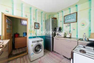 CASA SI GOSPODARIE DE VANZARE – SPINENI, OLT | 4.000 MP TEREN - foto 5