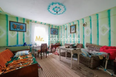 CASA SI GOSPODARIE DE VANZARE – SPINENI, OLT | 4.000 MP TEREN - foto 9