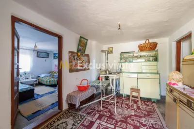 CASA SI GOSPODARIE DE VANZARE – SPINENI, OLT | 4.000 MP TEREN - foto 10