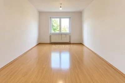 BLASCOVICI - AP. 1 CAMERA - ETAJ 1 - SPATIOS - Timisoara