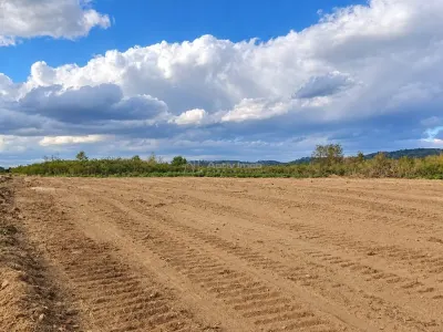 Teren de vanzare  in zona industriala - foto 3