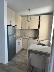 Apartament 2 camere, de inchiriat, zona Marul de Aur - foto 4