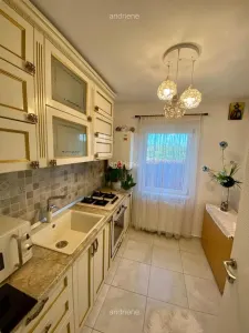 Penthouse 2 camere | 56 mp + 54 mp terase | Bucium| Parcare | Vedere panoramică - foto 6