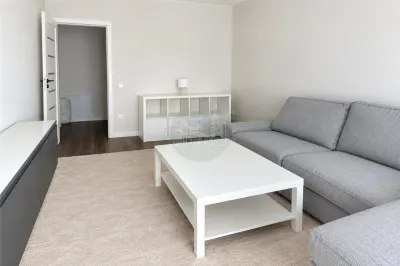 Apartament 2 camere zona Doamna Stanca - foto 2
