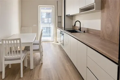 Apartament 2 camere zona Doamna Stanca - foto 3