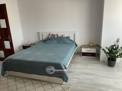 Apartament 100 mp, Bulevardul Nicolina – Rond Vechi, mobilat și utilat - foto 5